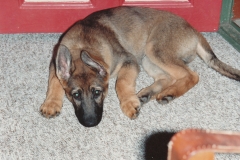 Baby Kai