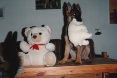 Bamse dræberen