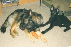 Assai ogDiva