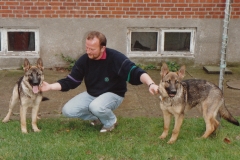 Ascani's Cani og Ascani's Chikai 5 mdr