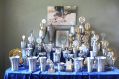 Pokal Fenner