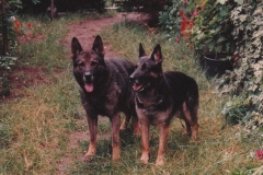 Ferro og Tanya