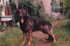Ferro