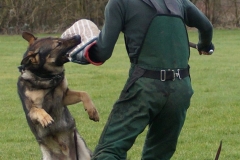 Lasse