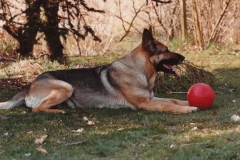 Sacha